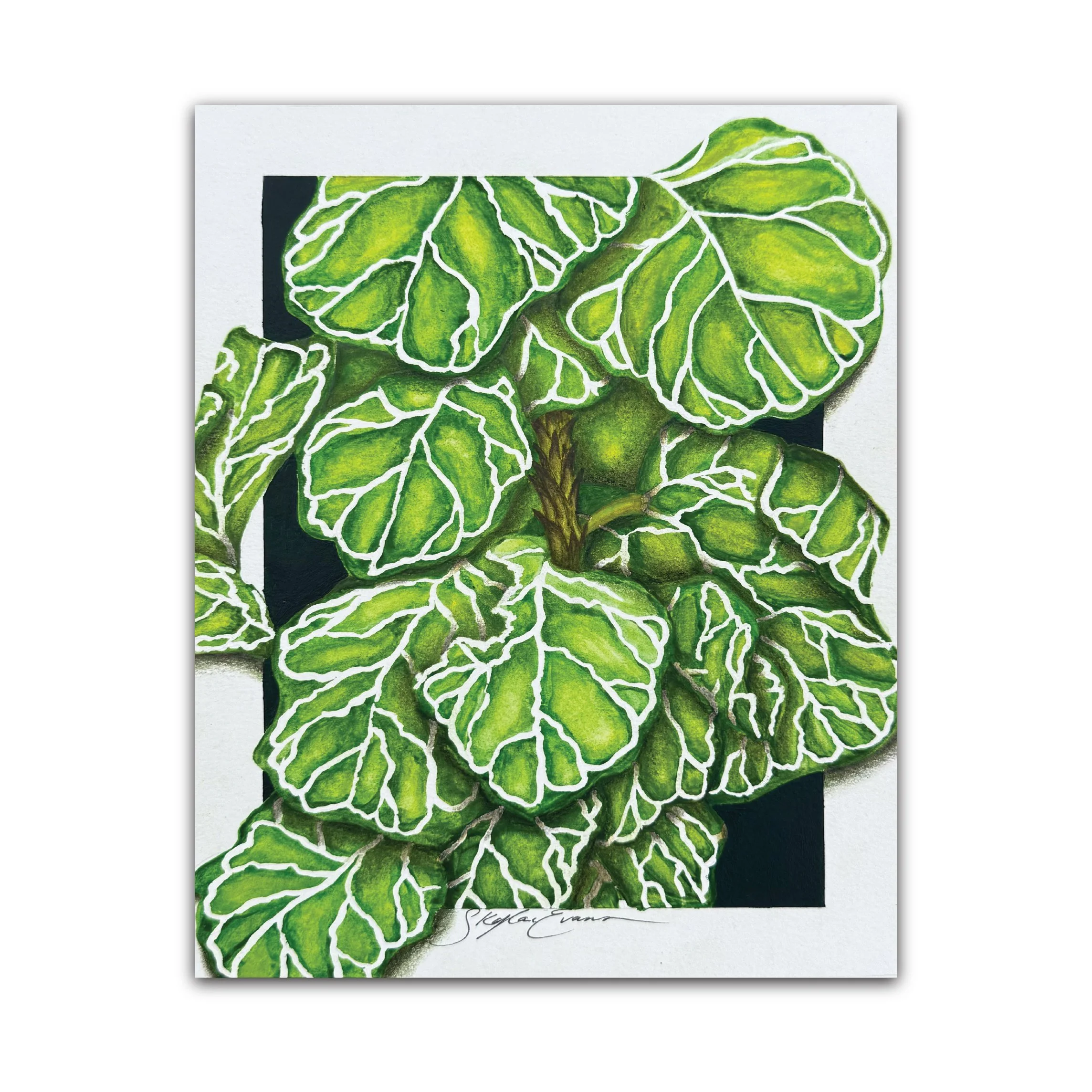 Even So, I Grow | Mixed Media Print