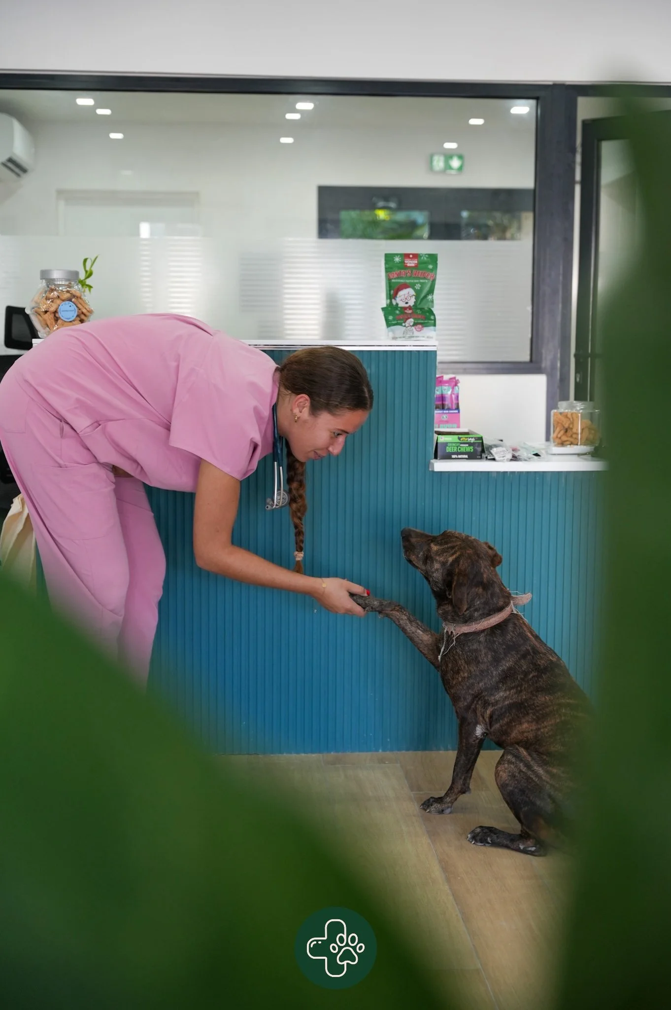 Je vous accueil tout les jours de 8h &agrave; 17h30 et de 9h &agrave; 13h le samedi.
Votre animal de compagnie se sentira ici comme &agrave; la maison. 🫶

Come and say hi ! Monday to Friday from 8am to 5:30pm and on Saturday from 9am to 1pm.
Where c