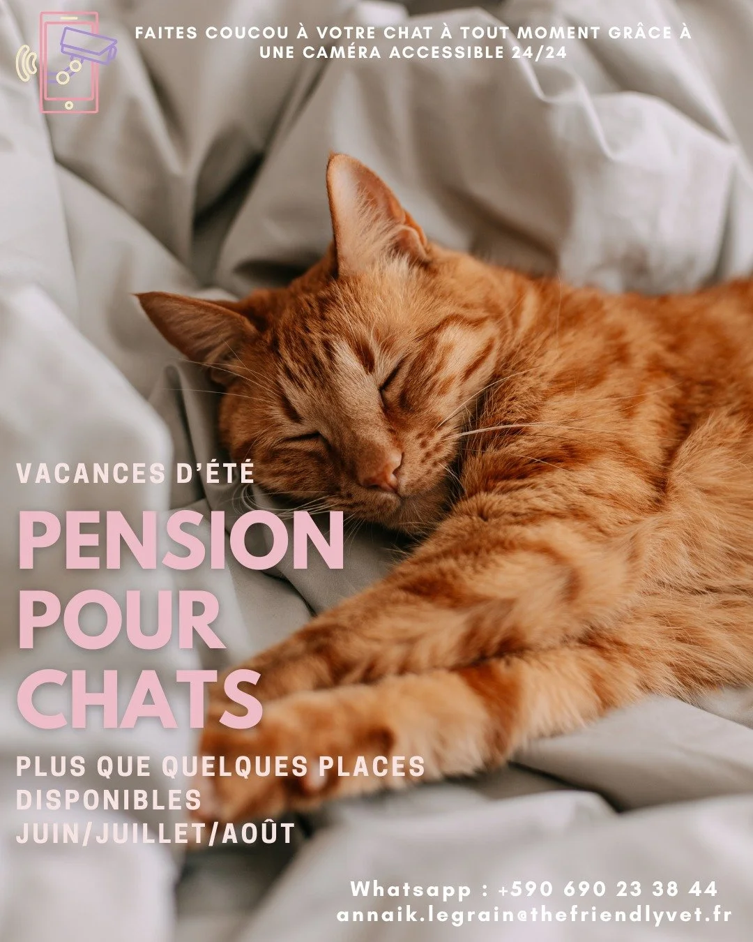 Partez l'esprit tranquille ! On s'occupe de tout 🫶