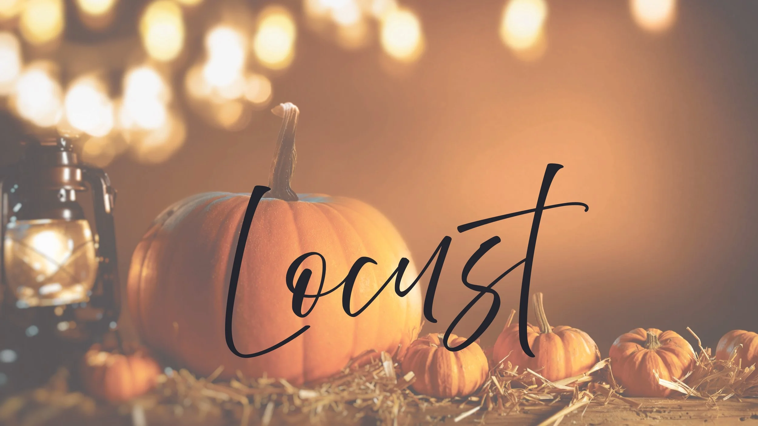 Locust Fall Festival