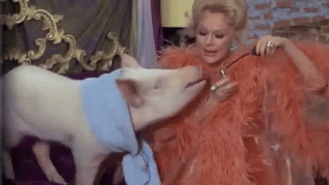 Smells Like None Of Your Business