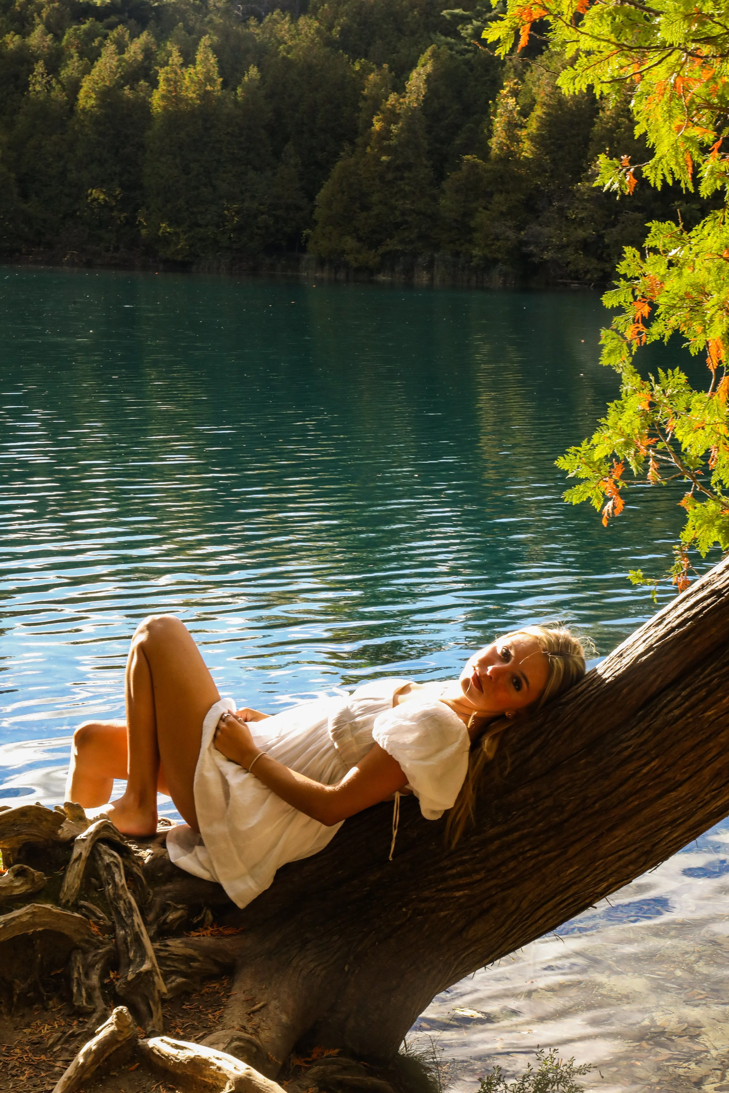 The Last Light-2.jpg