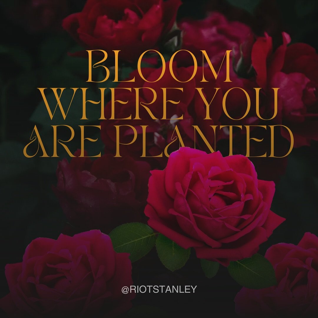 I know you&rsquo;ve heard this quote before, but it truly is a strong message! You belong! You add beauty to this world!