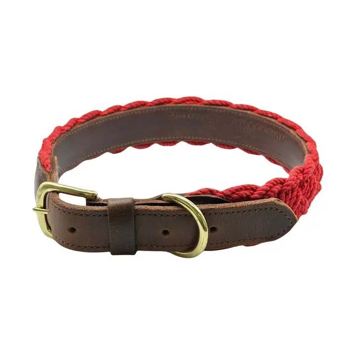 Baydog Collars || Seaside Collars (Small)