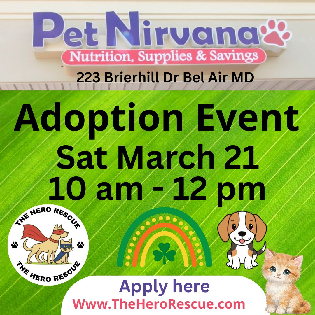 March Adoption w/The Hero Rescue