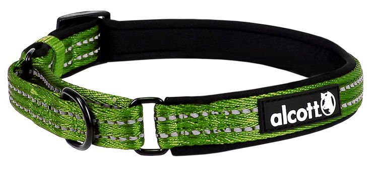 Alcott LARGE Martingale Dog Collar 18"-26"
