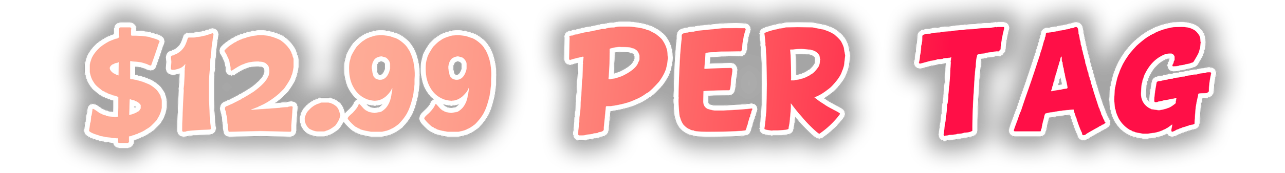 Price sale sign with text '$12.99 per tag' in white and red font on a black background.