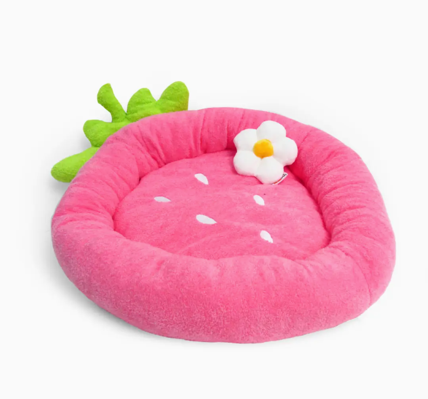 Strawberry Pet Bed and Daisy Toy (Summertime Specials)