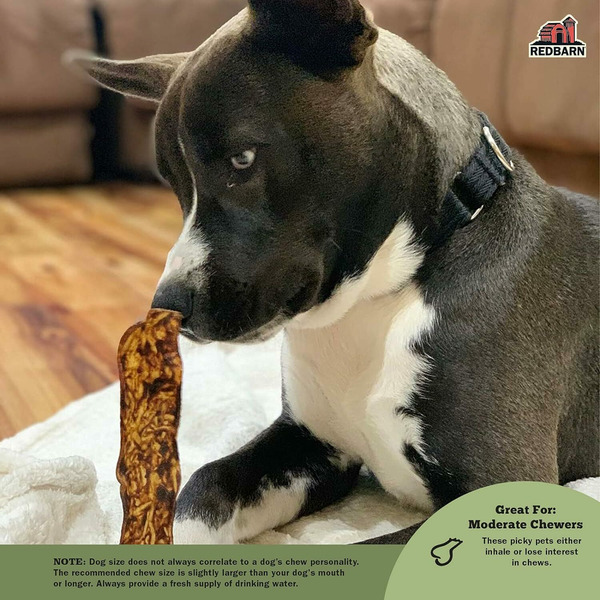 A black and white dog with piercing eyes is gently holding a chew treat in its mouth. The dog is sitting on a white blanket on a hardwood floor, in a cozy indoor setting.
