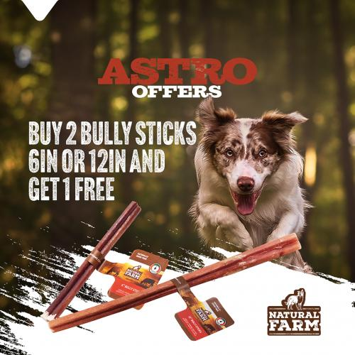 An advertisement for Astro bully sticks featuring a happy dog in a forest setting with bully sticks and tags from Natural Farm.