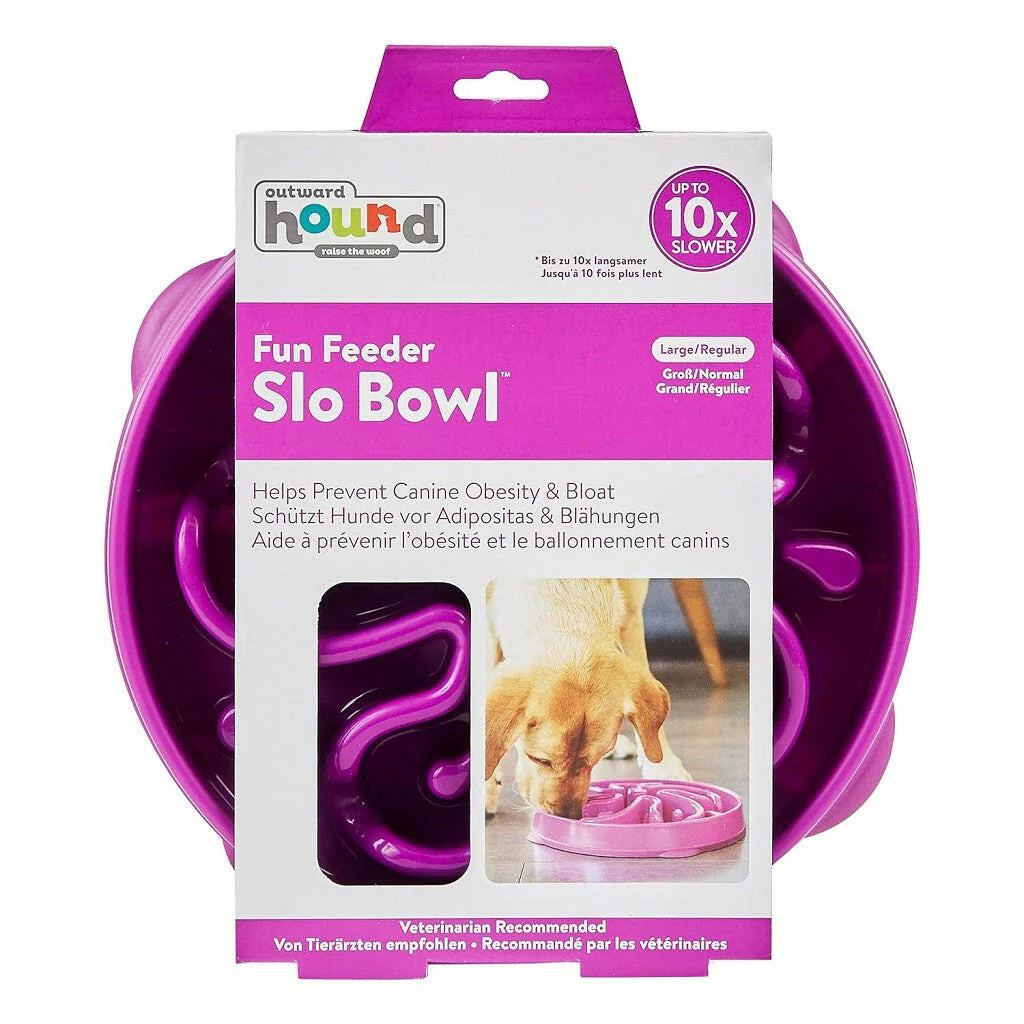Outward Hound Fun Feeder Slo Bowl