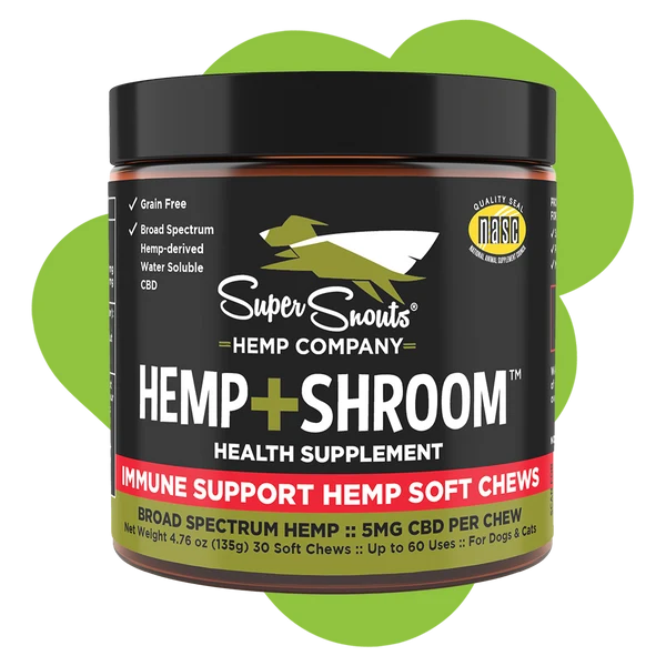 SuperSnouts Hemp Company || Hemp + Shroom Soft Chews