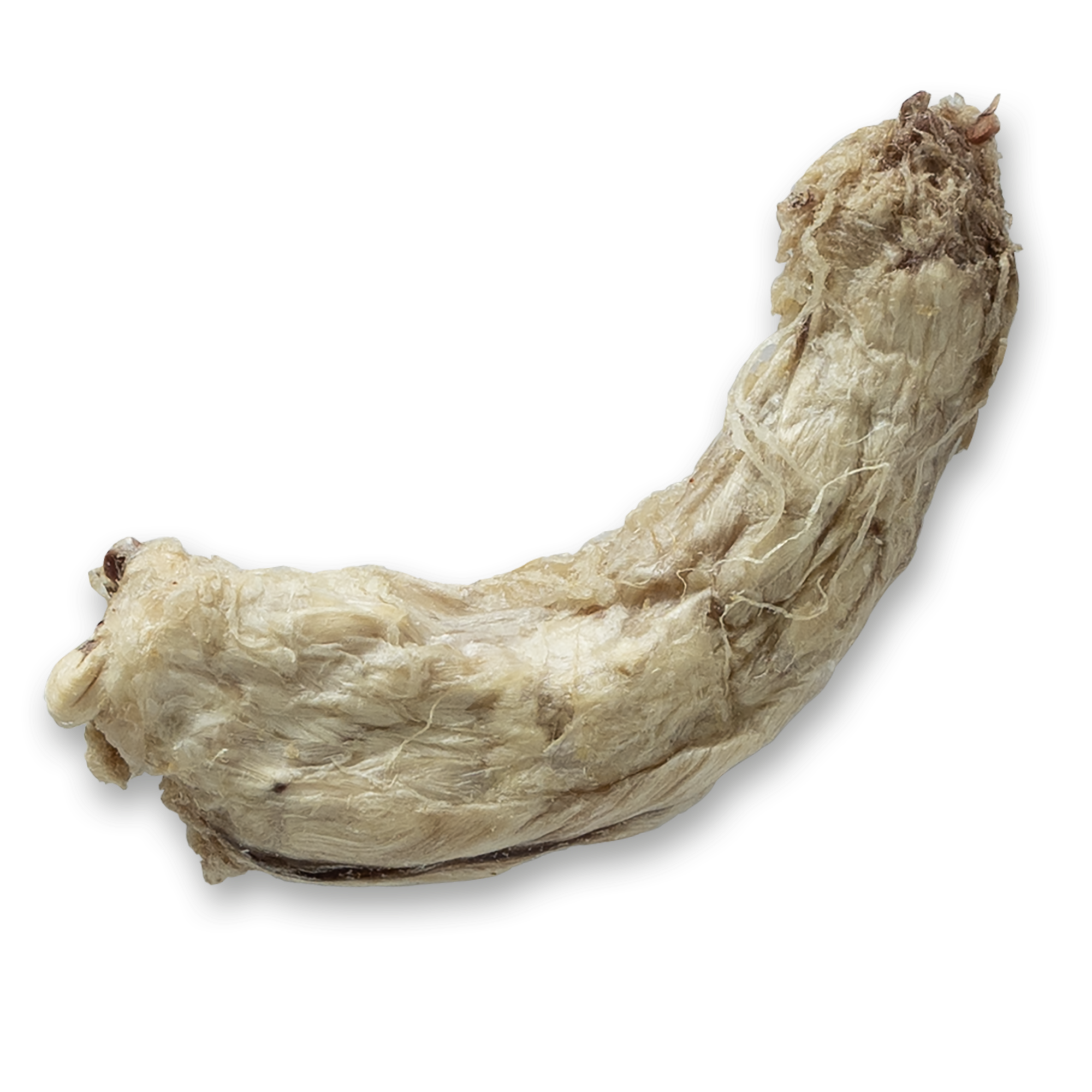 Bones & Co Treats || Freeze Dried Chicken Neck