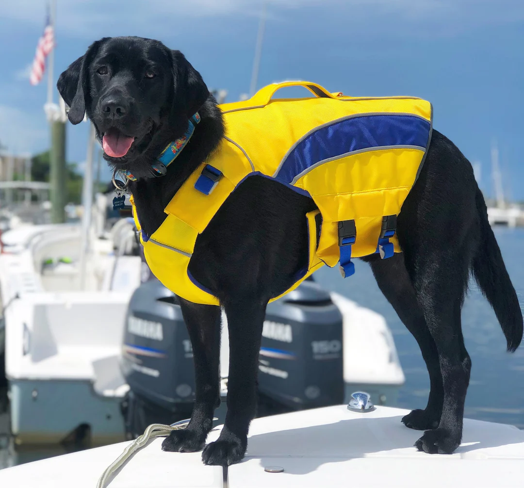 Baydog Life Jacket || Large Size