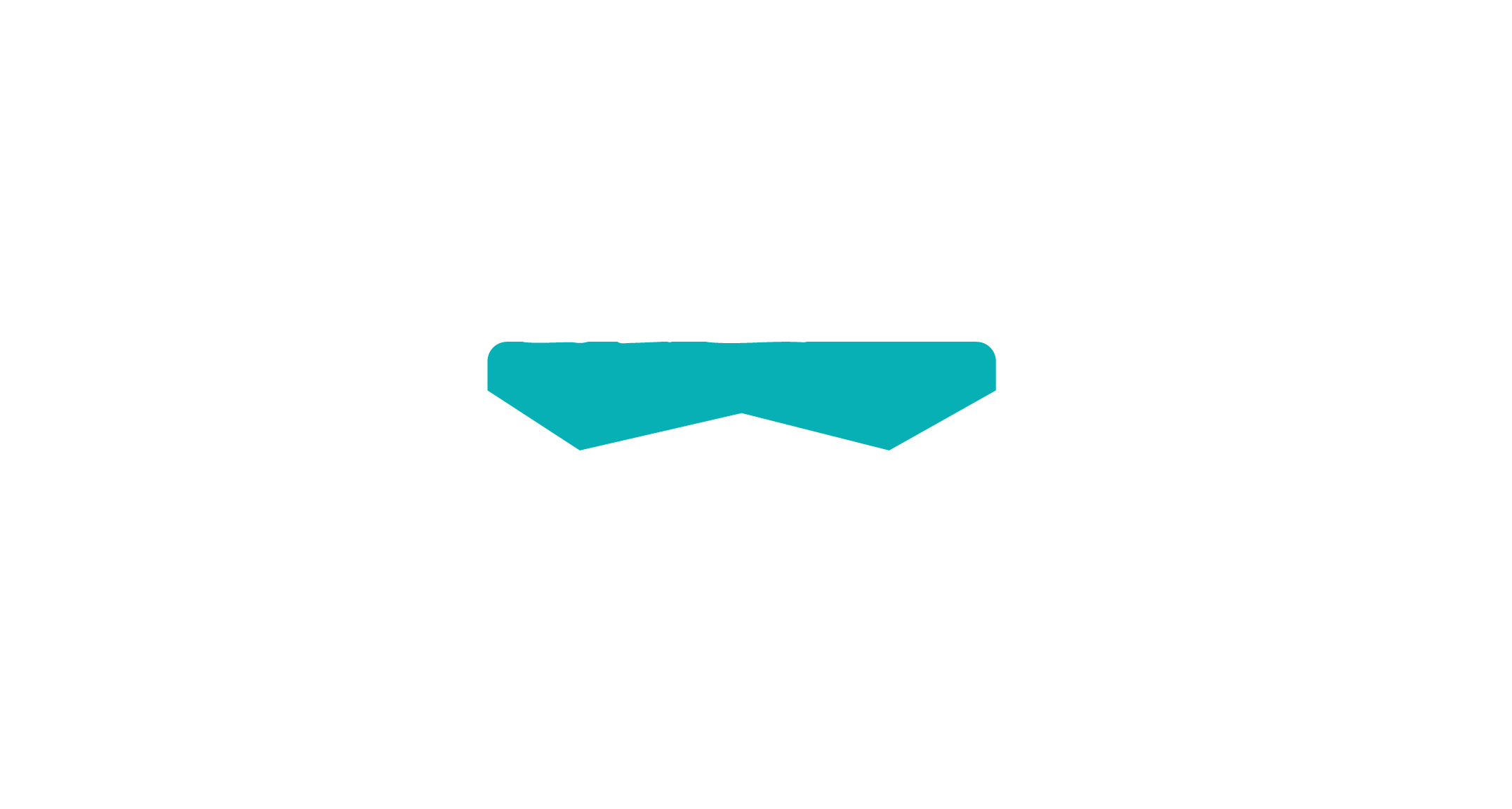 Logo for Everywn, featuring a white polar bear standing on a teal platform above the company's name in bold black and white text.