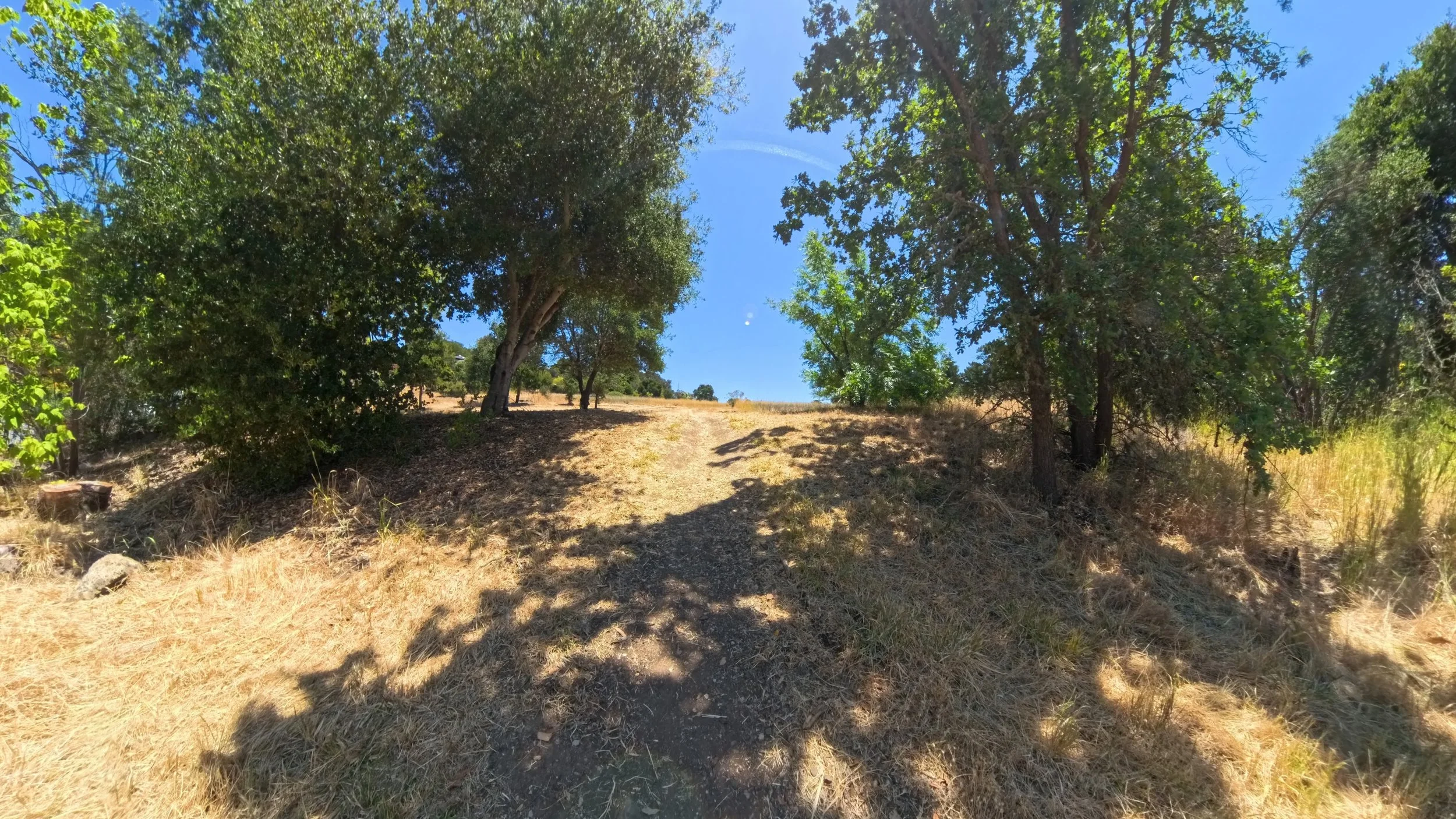 Trail Cover Image.jpg