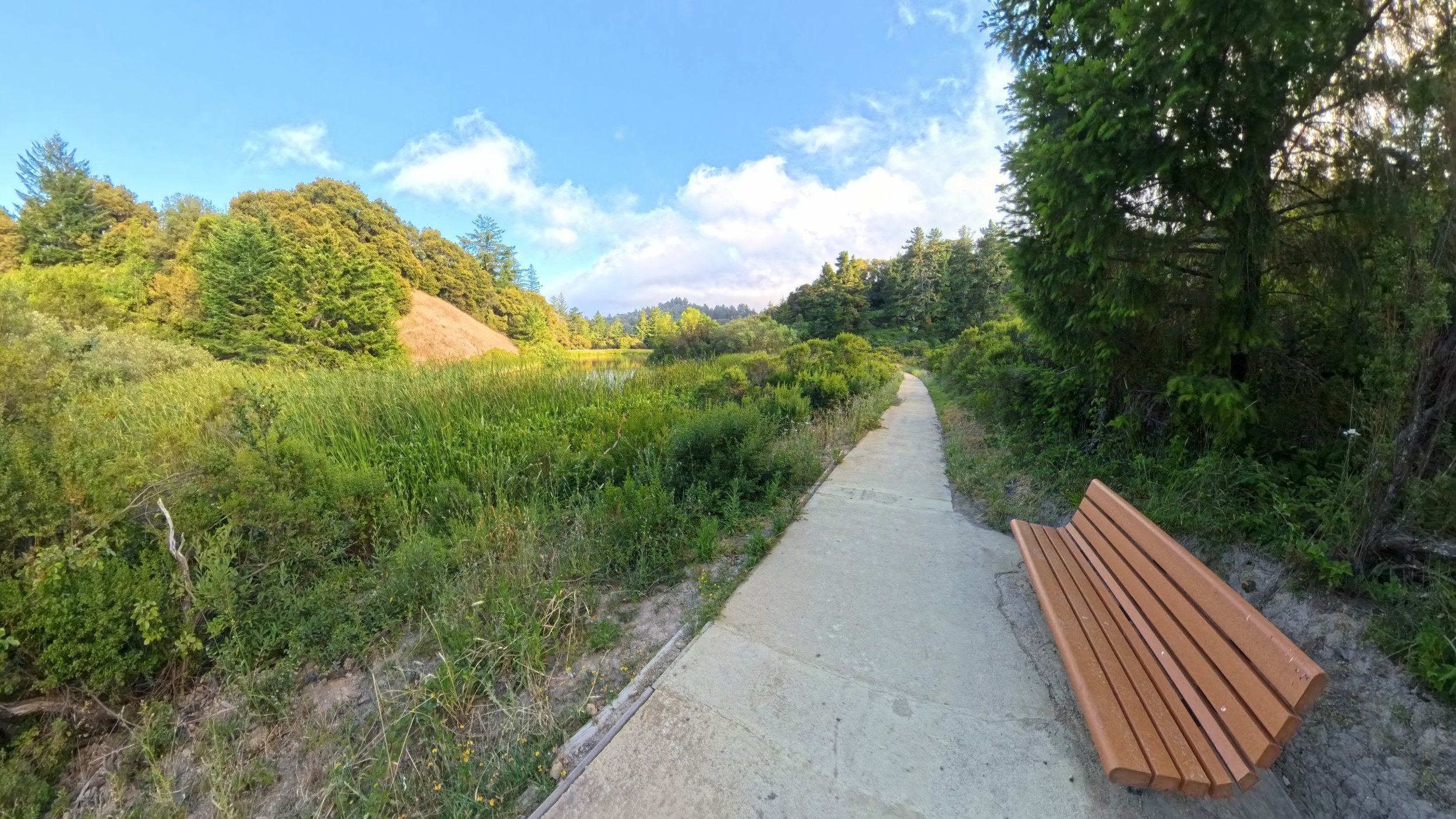 ADA Accessibility Cover Image.jpg