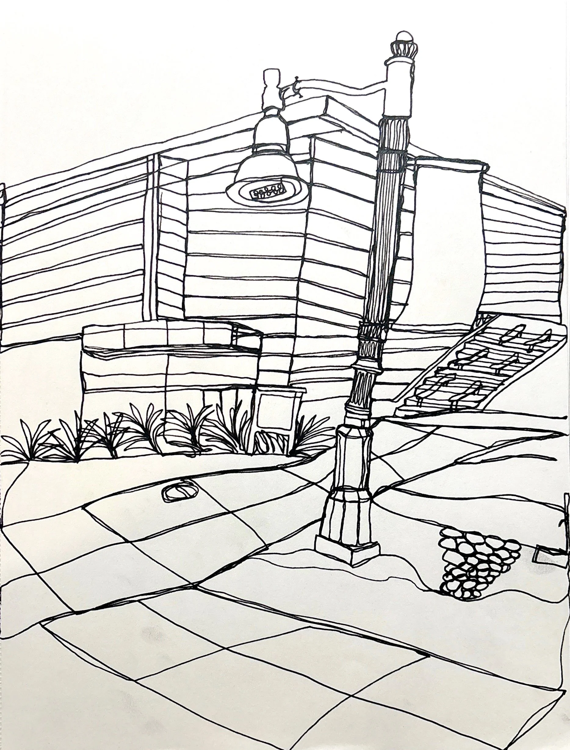 Contour Drawing 1 - Pen, 9x12