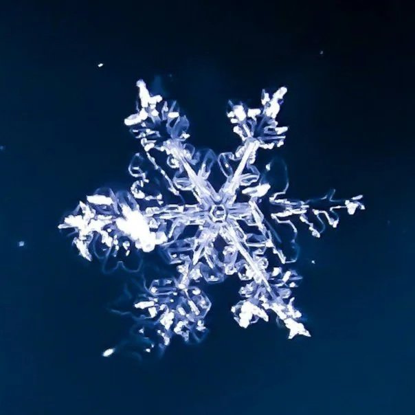 ❄️ Rooted Wisdom Winter Journey: Tending the Soil of the Soul