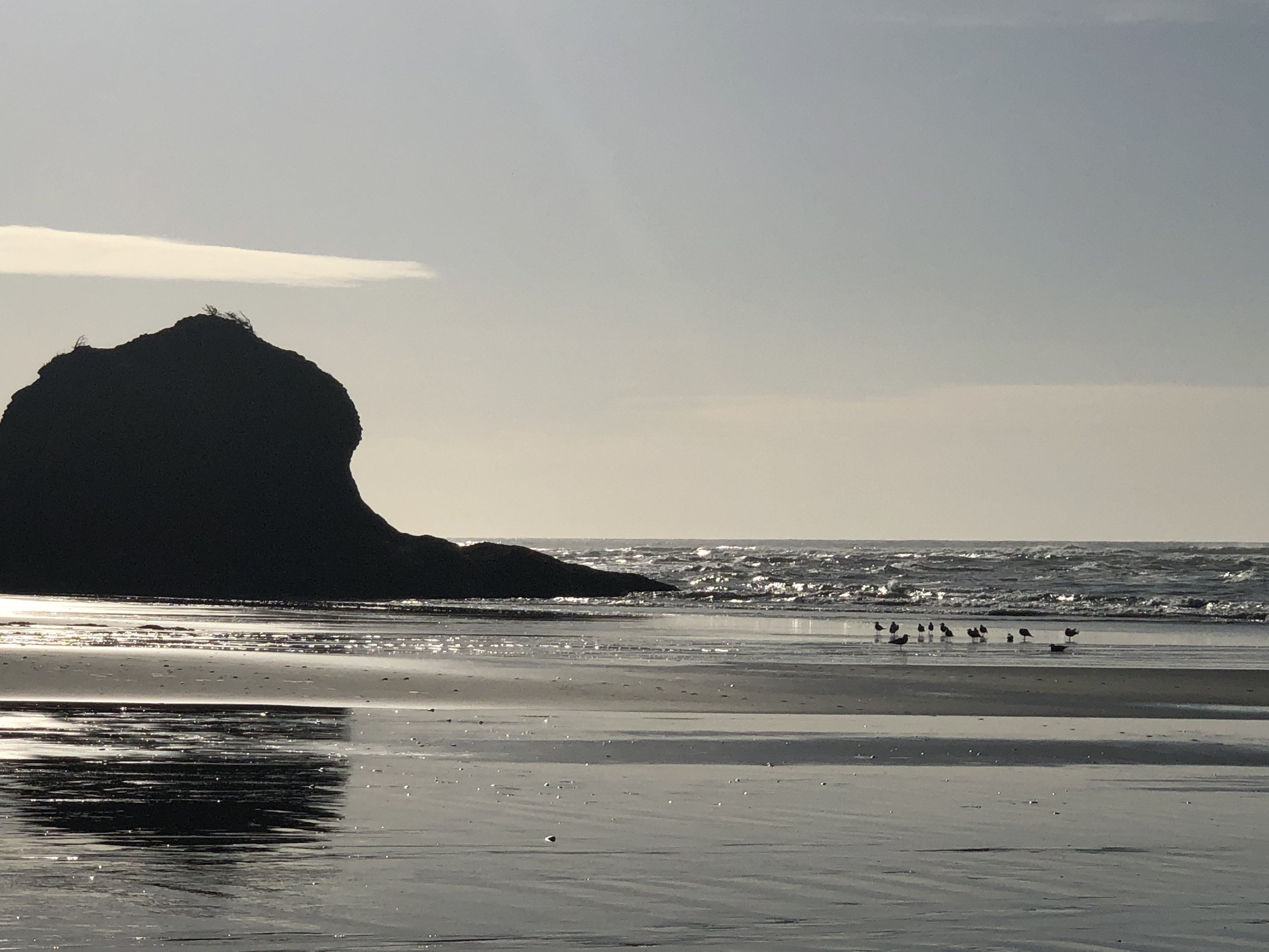 The Power of a Sacred Pause: Returning to the Heart in a Busy World