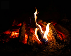 Wild Wisdom Fire Circle - January 23, 2026