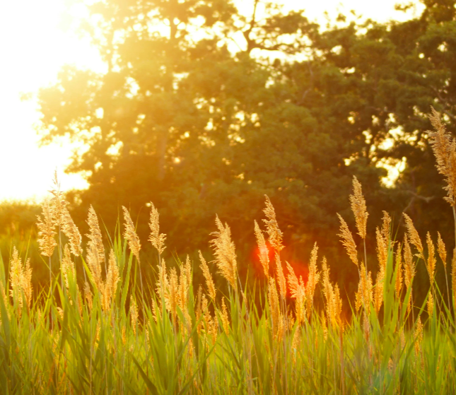 Screen Shot 2026-04-22 at 3.16.41 PM.png