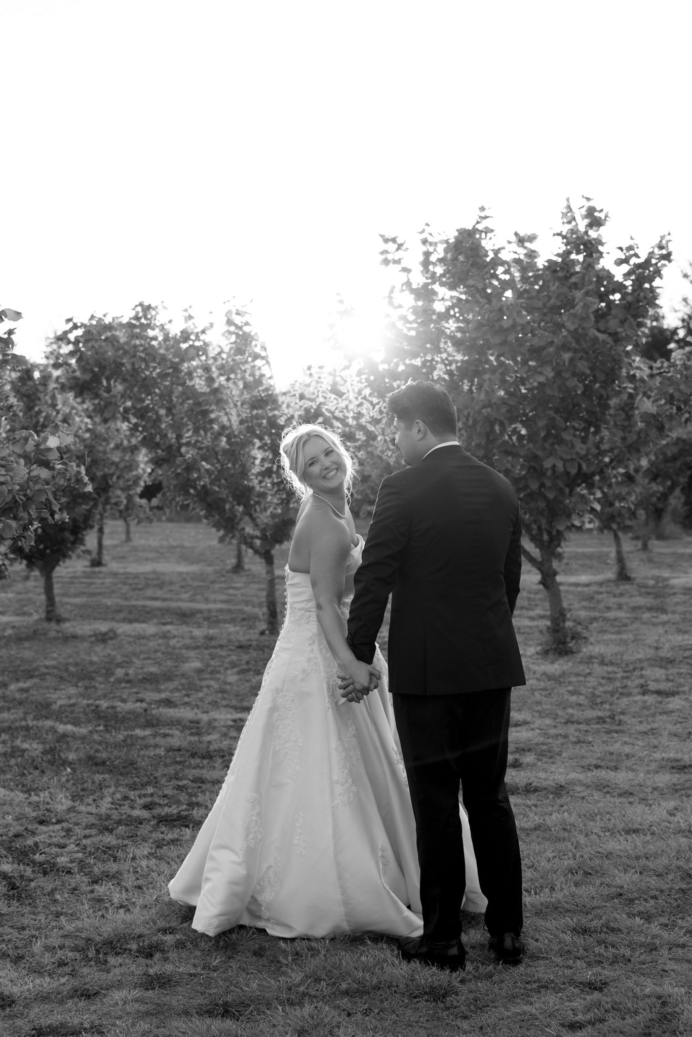 Orchard at Sunset