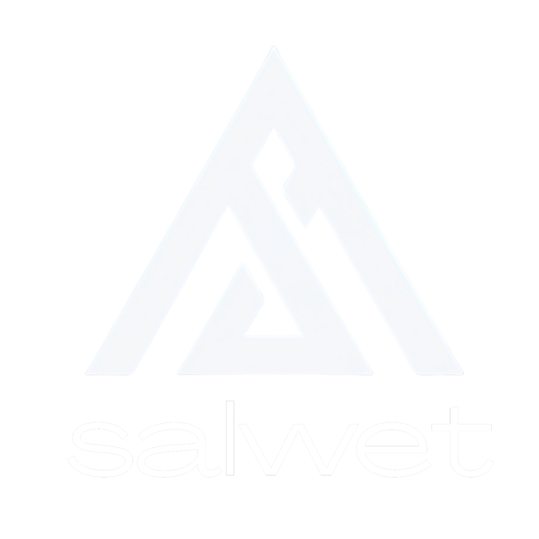 Official Logo with Text of Salwet