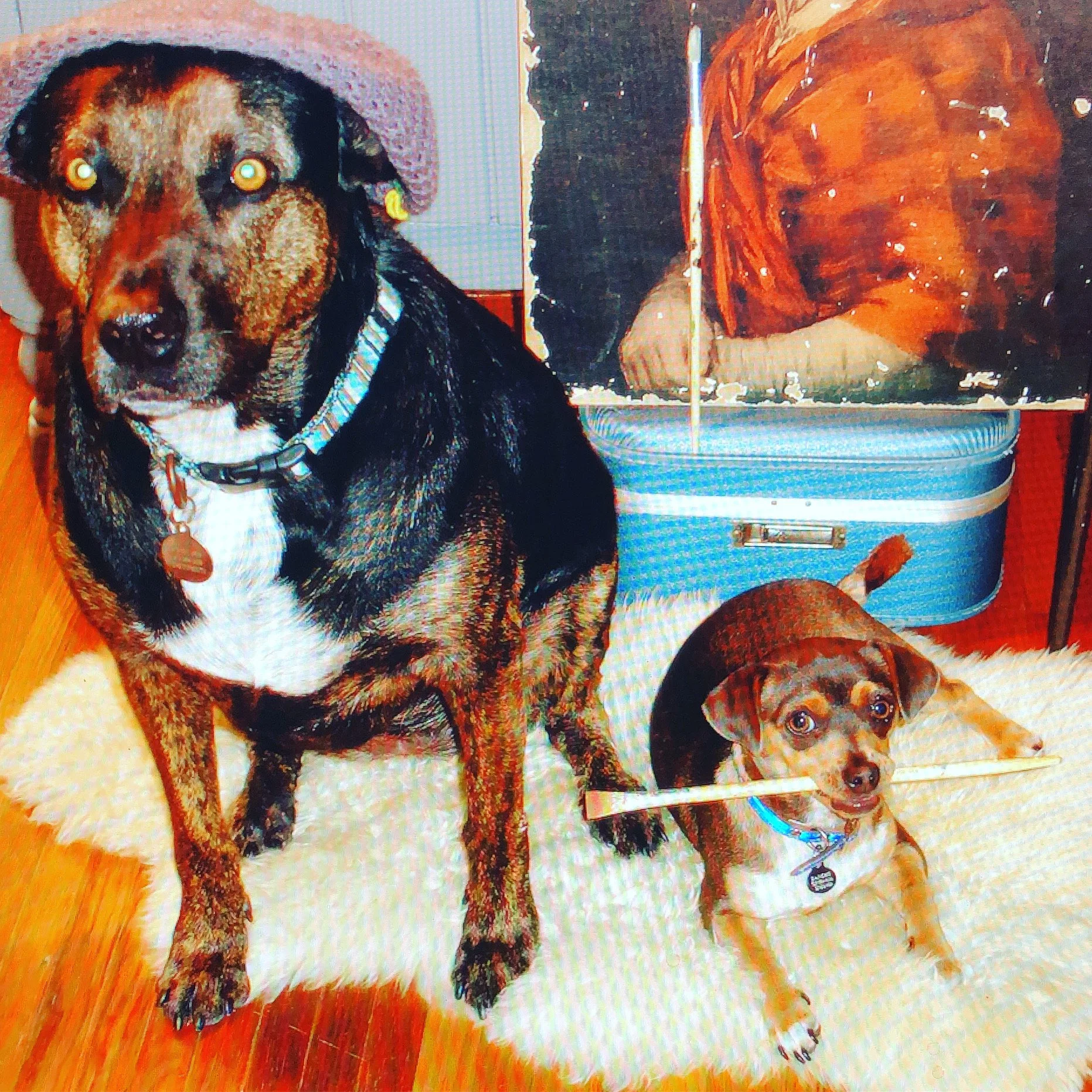 Eva Luna Ortiz's first photography, age 9, depicting a large brindle dog in a beret and a small dog posing with a paintbrush in front of a canvas.