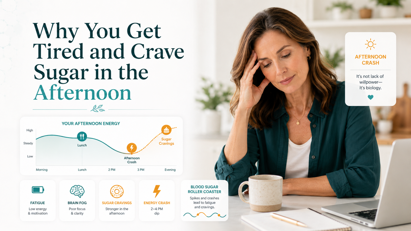 Why You Get Tired and Crave Sugar in the Afternoon