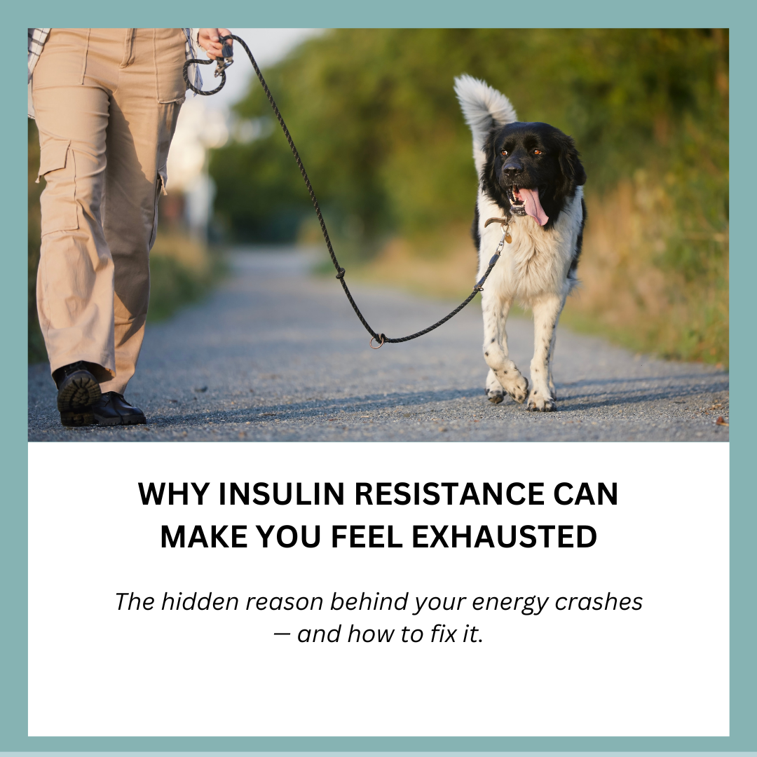 Why Insulin Resistance Can Make You Feel Exhausted