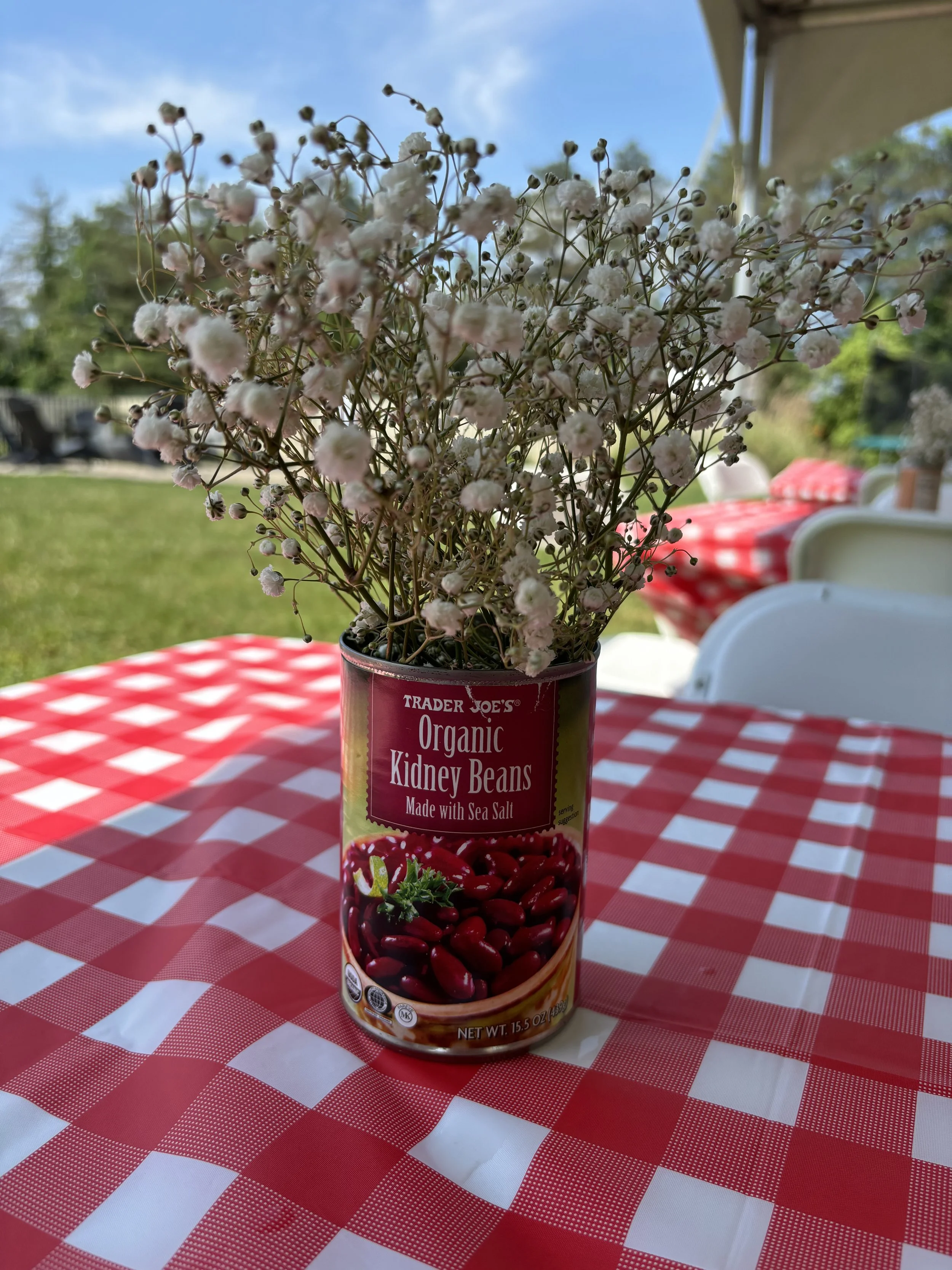 A can of Trader Joe's organic kidney beans with white and pink flowers arranged inside, placed on a red and white checkered tablecloth outdoors.