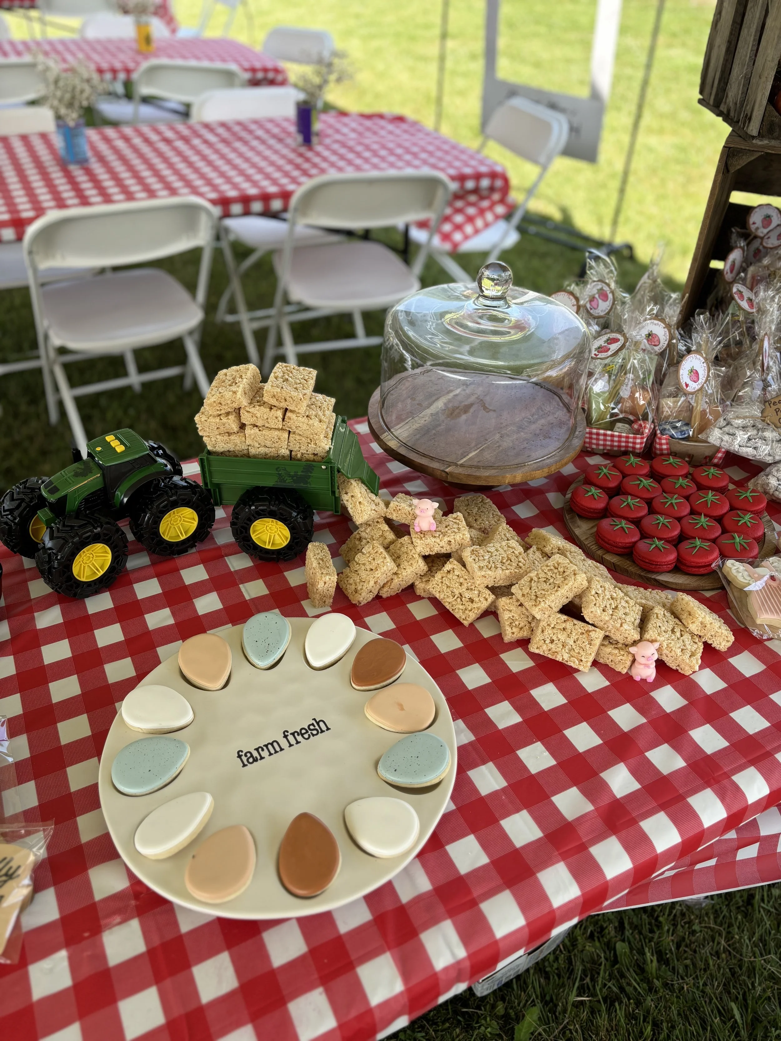 Country-themed dessert table with rice krispie treats, decorative cookies, and toys, set on red and white checkered tablecloth at outdoor event.