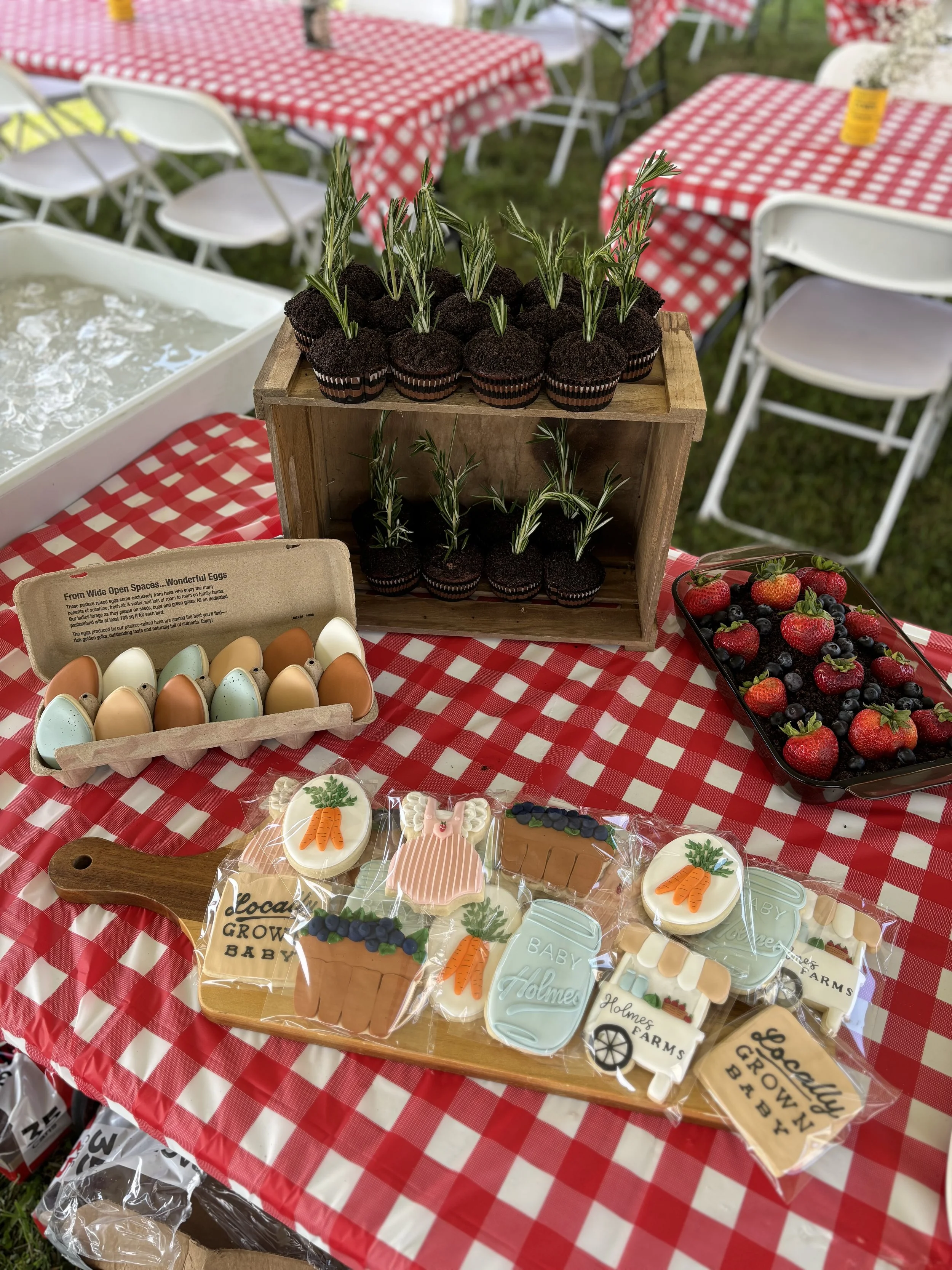 A table with a red and white checkered tablecloth displaying decorated cookies, a carton of eggs, a tray of strawberries and mixed berries, and small potted plants with rosemary, set outdoors at a farm or garden event.