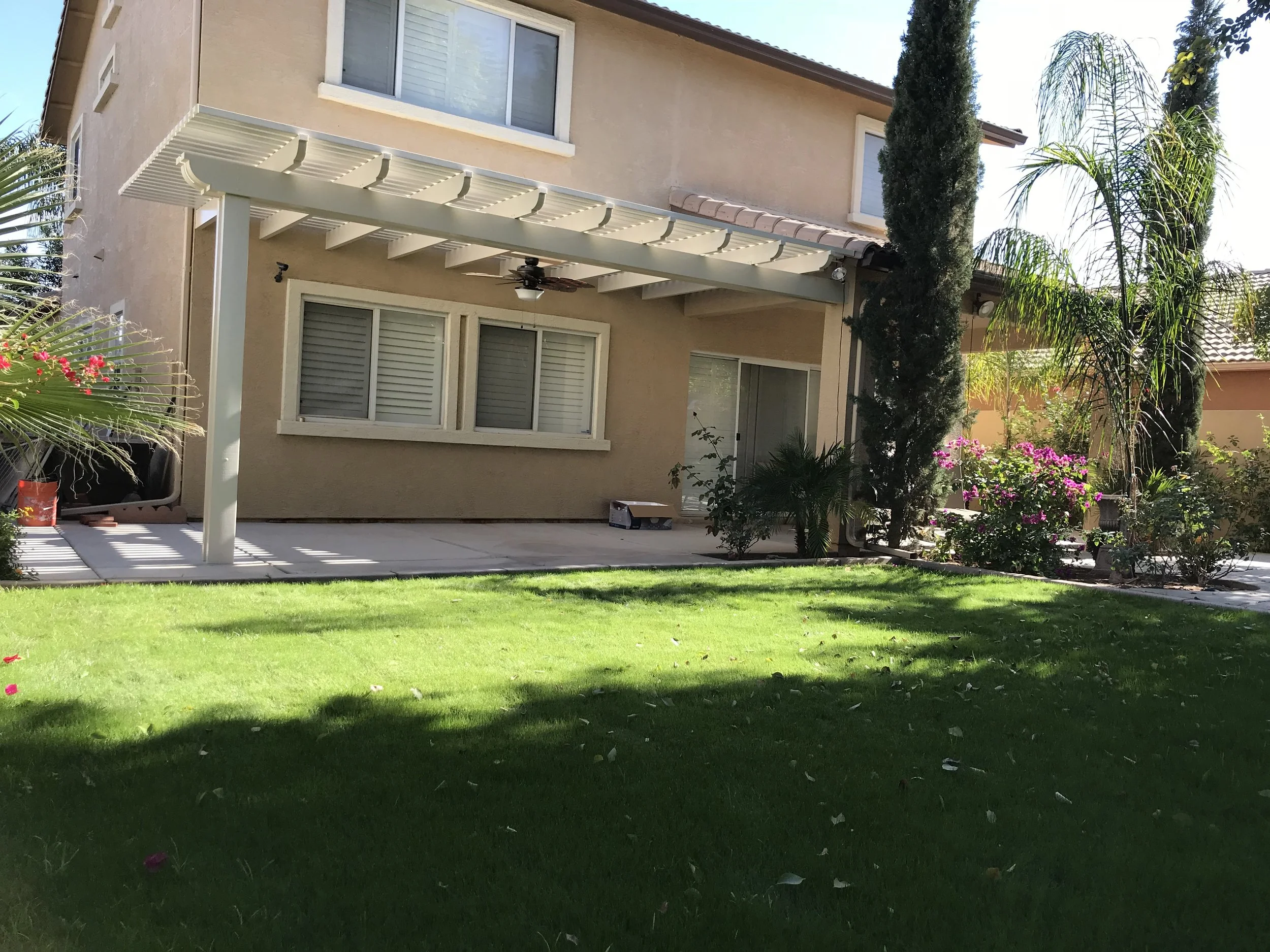 Backyard with a patio, grass lawn, and plants including palm trees and flowering bushes.
