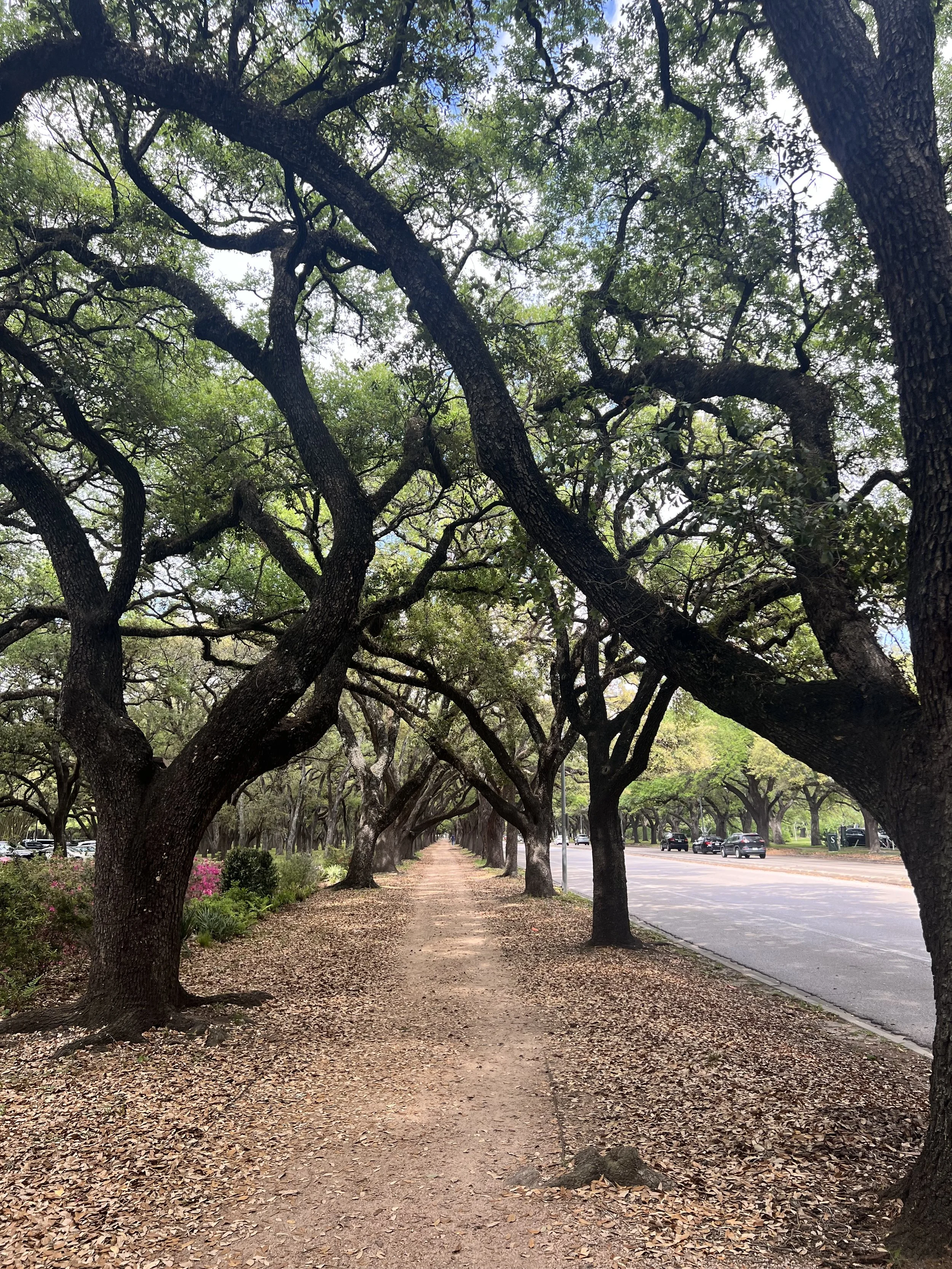 bilingual Spanish speaking psychiatrist Houston