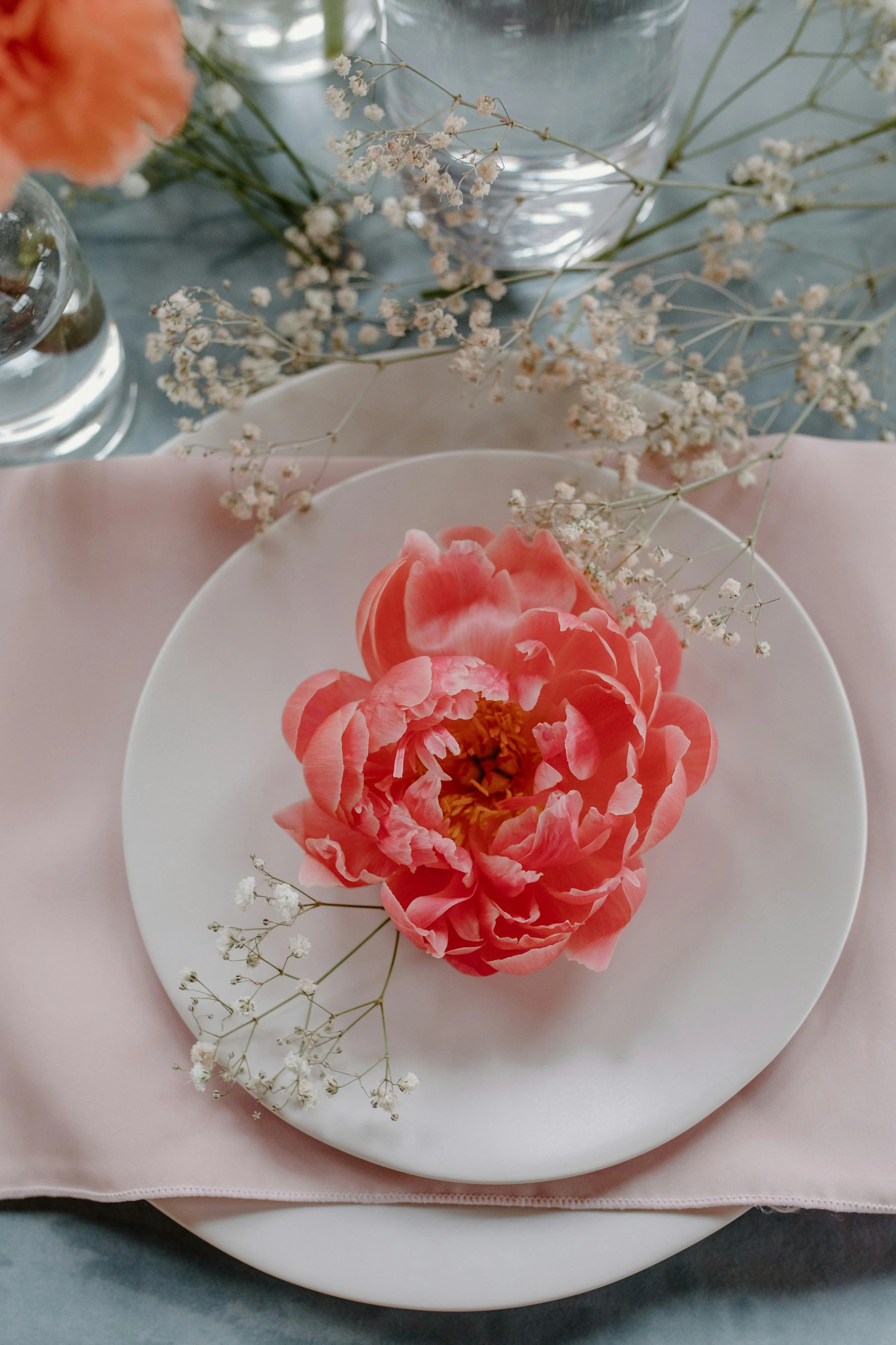 A pink peony flower with sprigs of baby's breath on a white plate, set on a pink napkin with a blue tablecloth background, and a glass vase with water behind it.