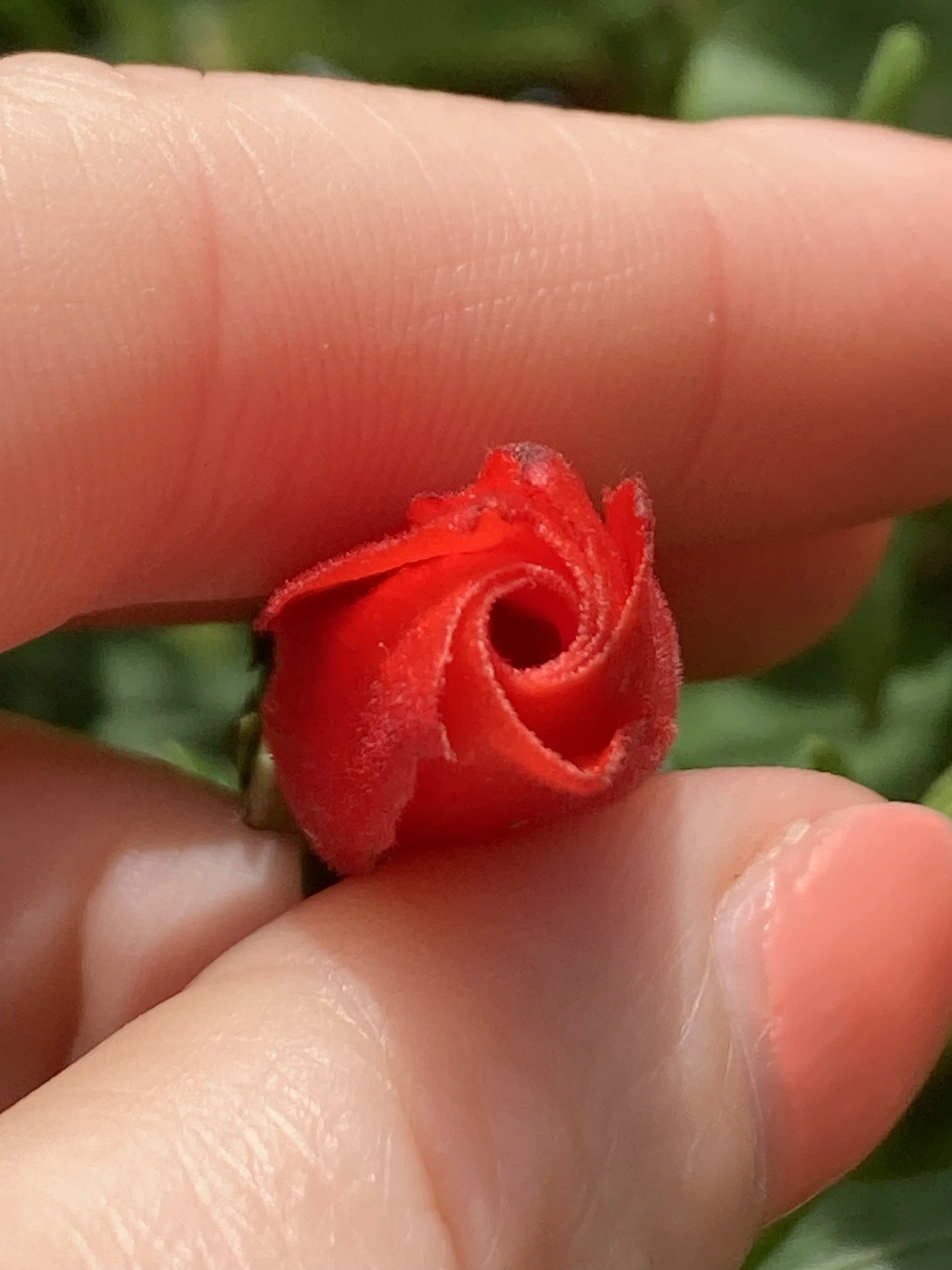 March 1st Breathwork Group