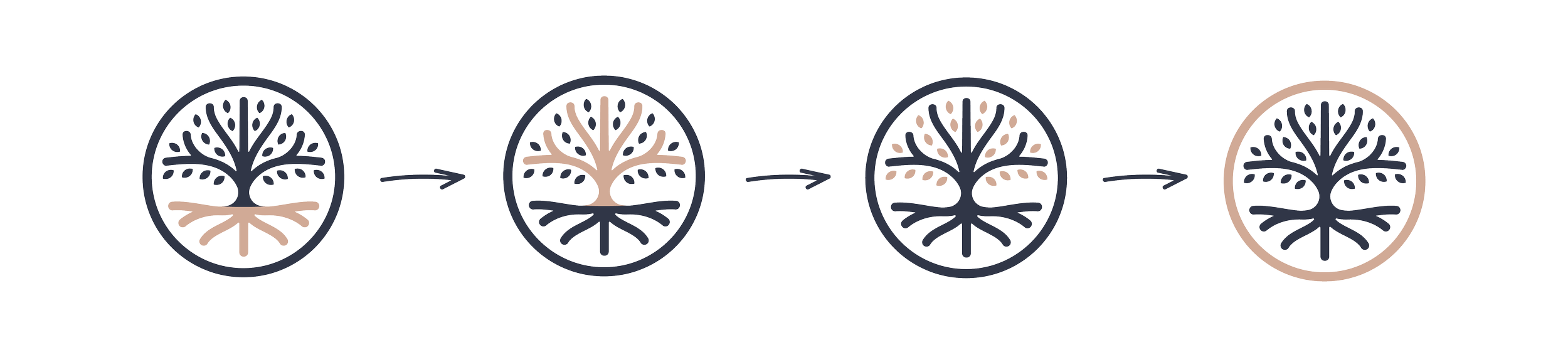 A diagram illustrating the stages of a tree growth cycle, showing five circular icons with a tree and roots, connected by arrows, depicting the progression from a seedling to a mature tree.