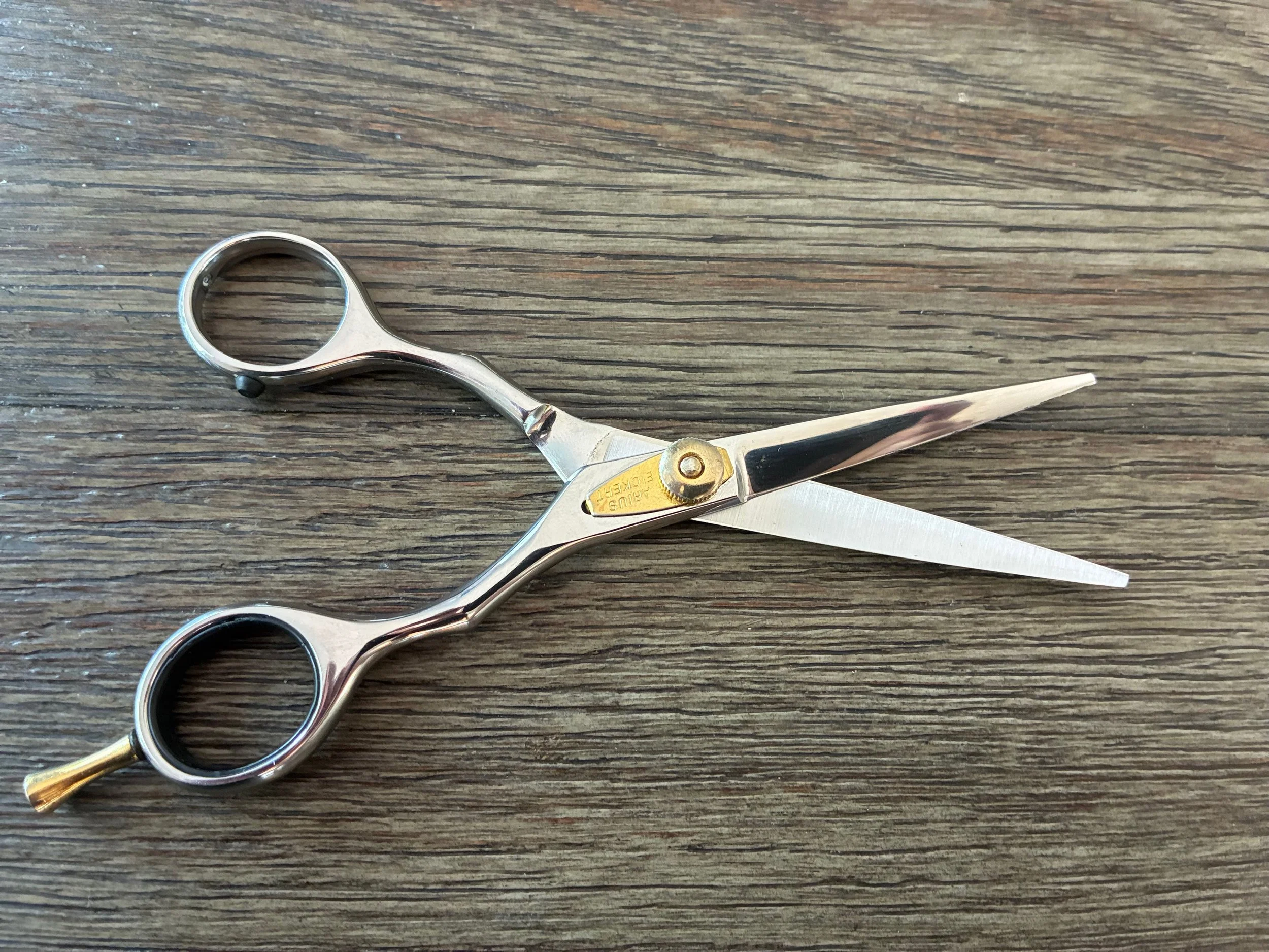 Salon Scissors