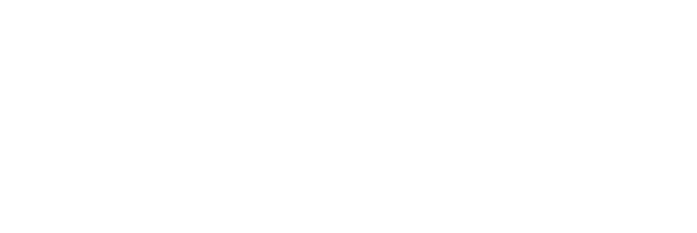 Humint