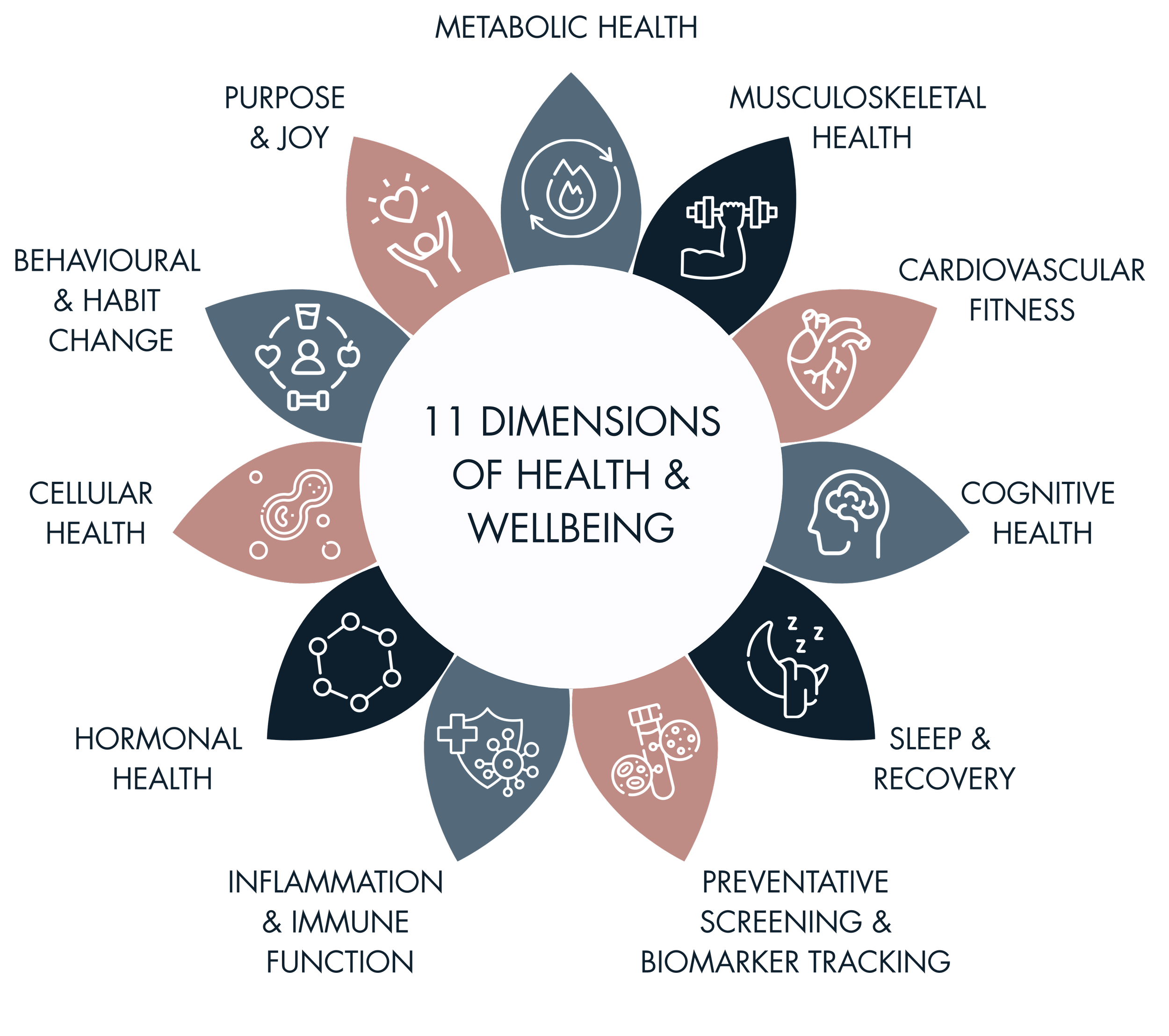 Flower diagram with petals representing 11 dimensions of health and wellbeing