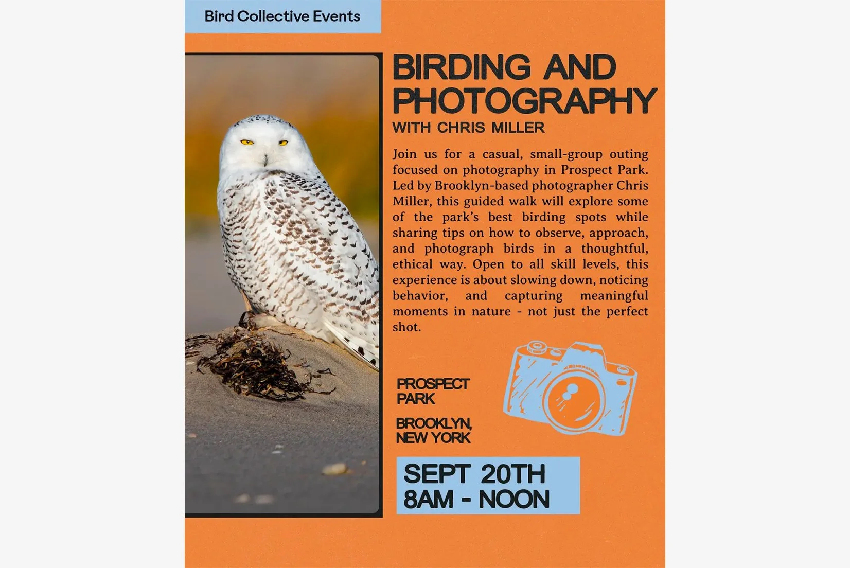 Birding and Photography