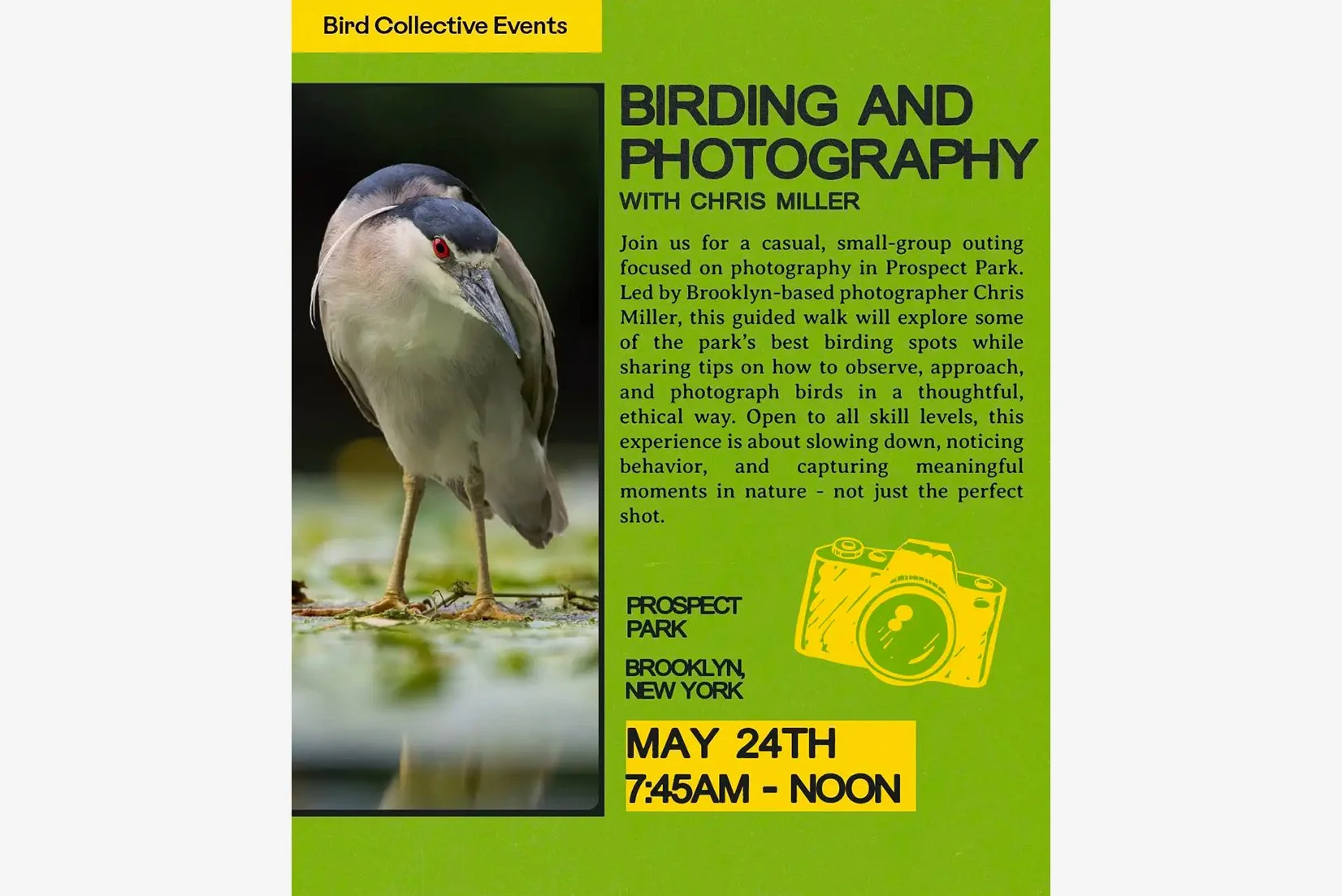 Birding and Photography