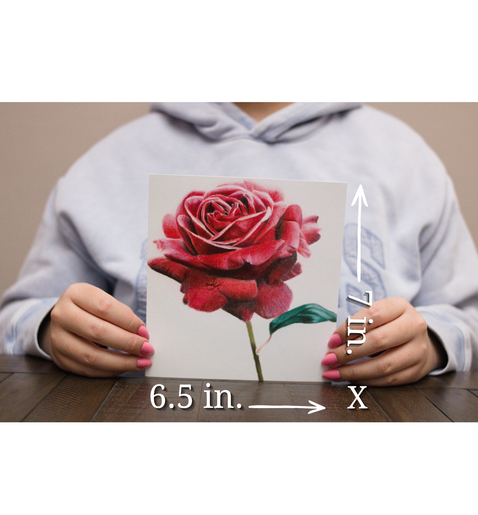 Measurements within photo rose.png