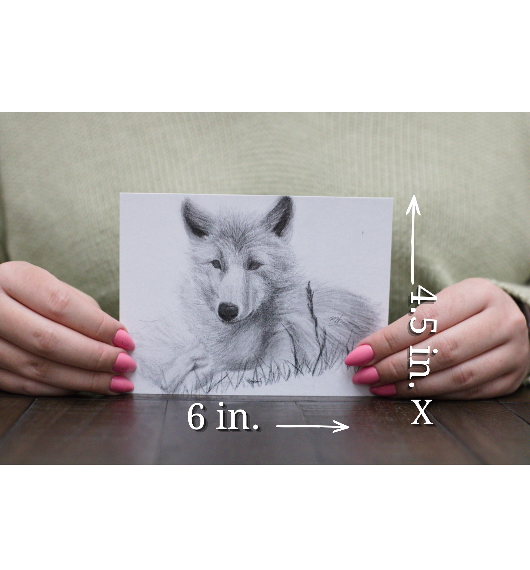 Measurements within photo wolf.png