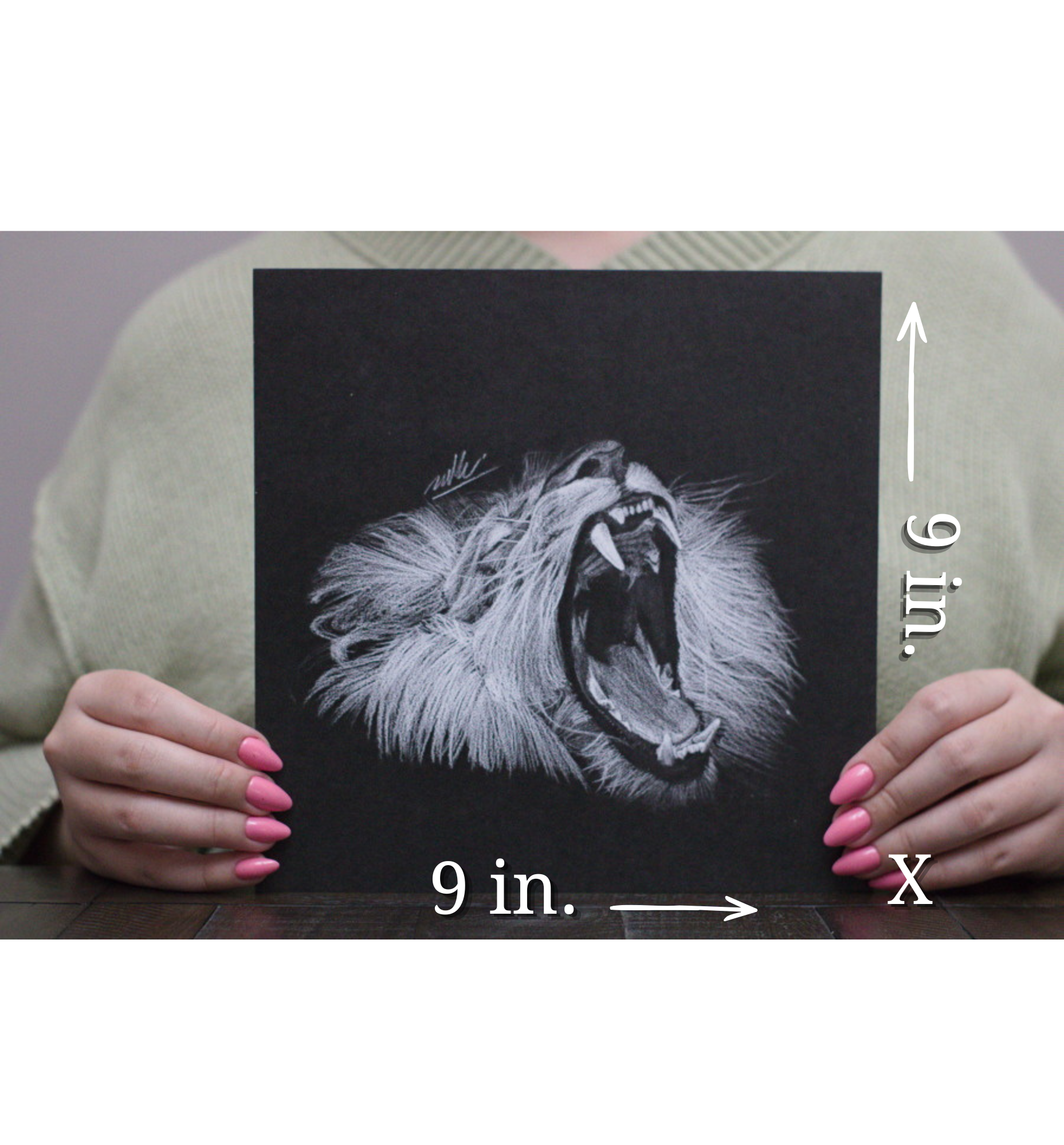 Measurements within photo lion.png