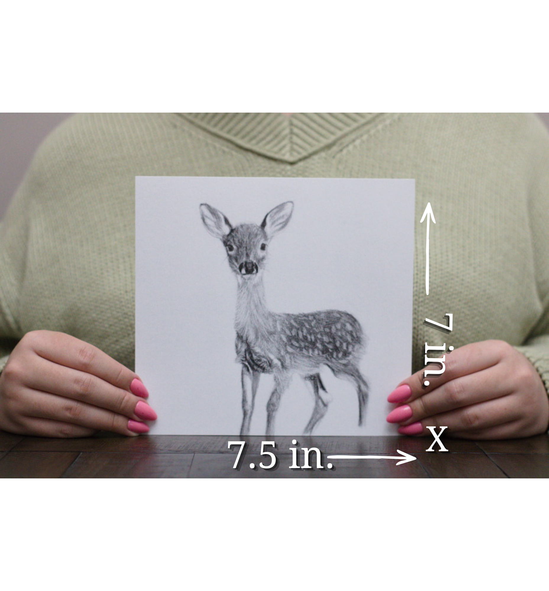 Measurements within photo deer.png