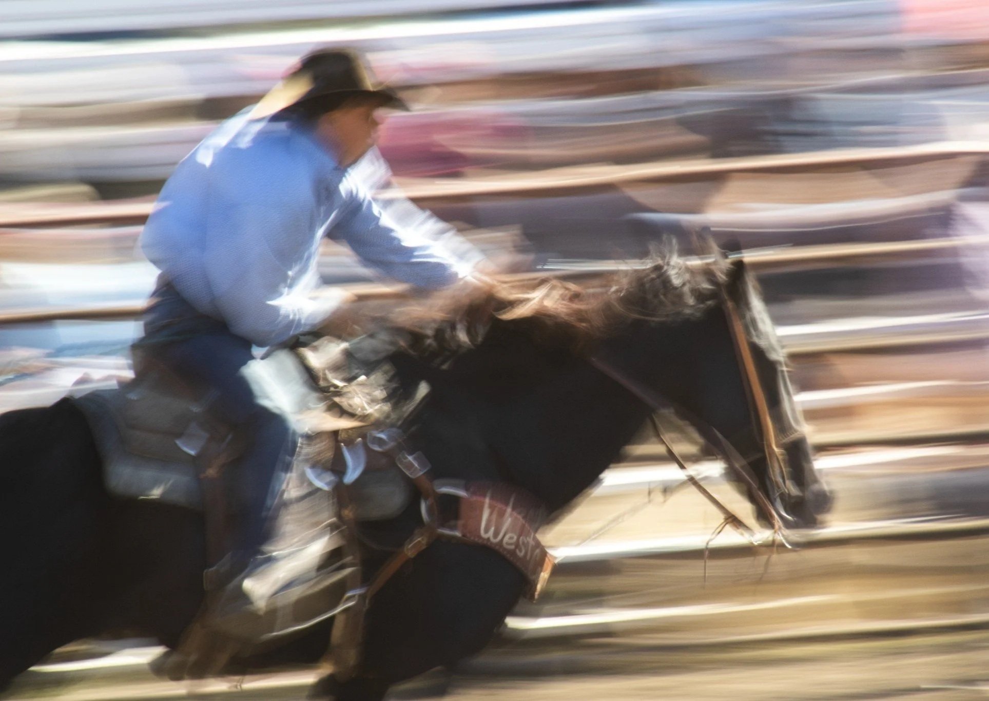 COWBOY+SLOW+MOTION.jpg