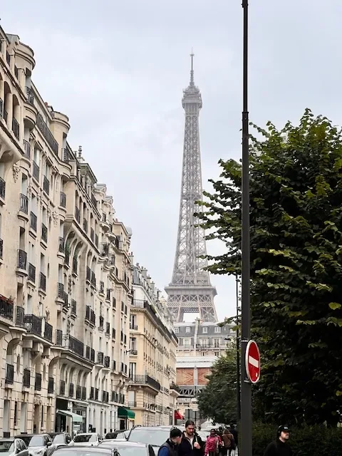 A long view of the Eiffel Tower rising above the Paris skyline.